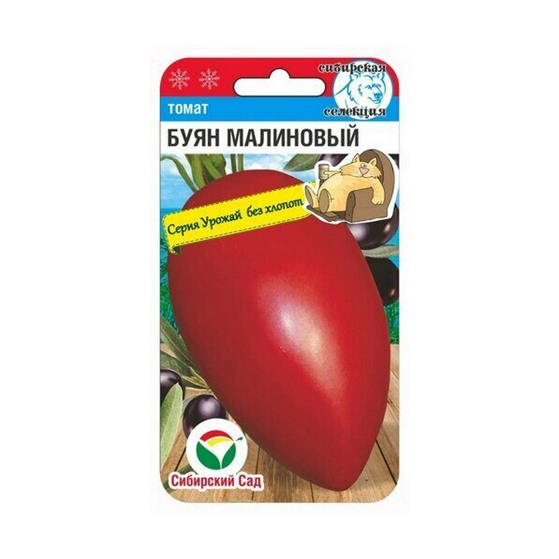 Томат Буян Малиновый, 20шт/СибСад